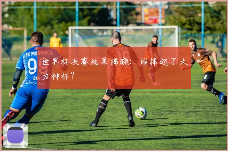 世界杯决赛结果揭晓:谁捧起了大力神杯?
