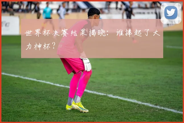 世界杯决赛结果揭晓:谁捧起了大力神杯?