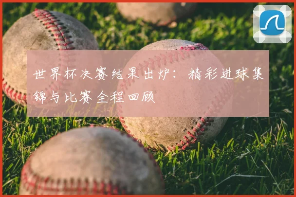 世界杯决赛结果出炉:精彩进球集锦与比赛全程回顾