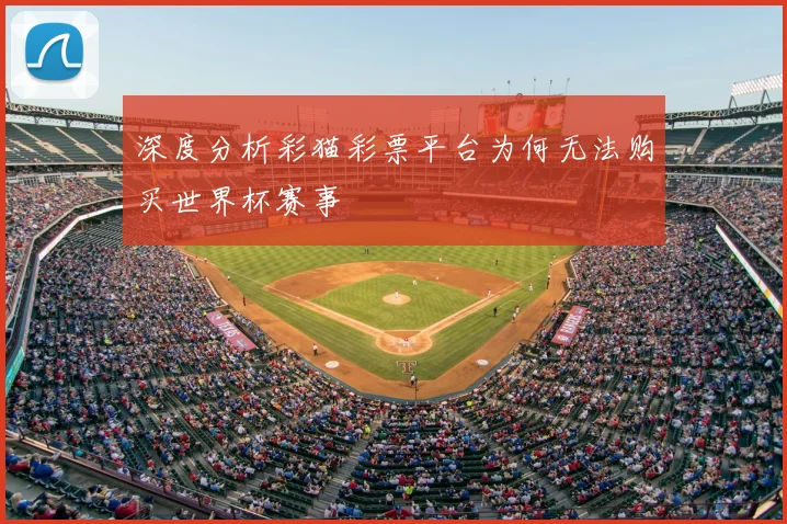 深度分析彩猫彩票平台为何无法购买世界杯赛事