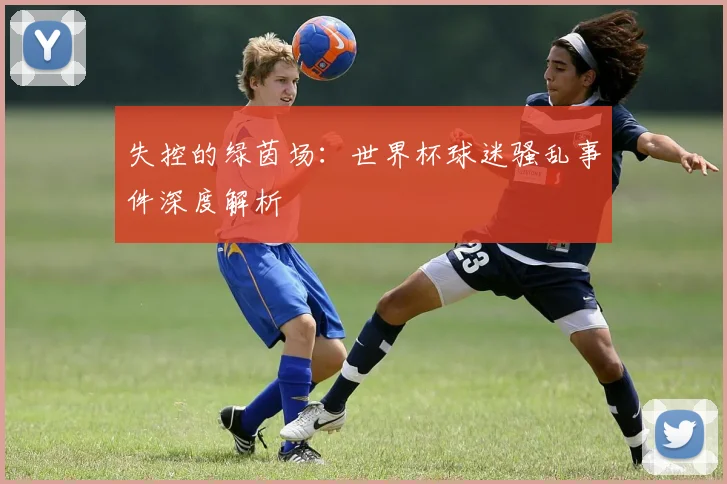 失控的绿茵场：世界杯球迷骚乱事件深度解析
