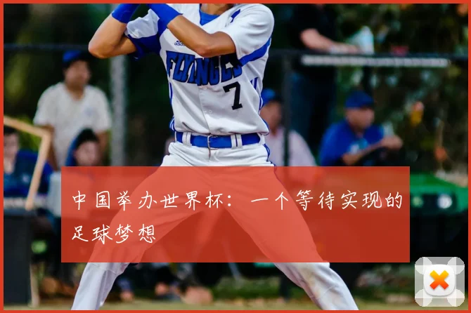 中国举办世界杯：一个等待实现的足球梦想