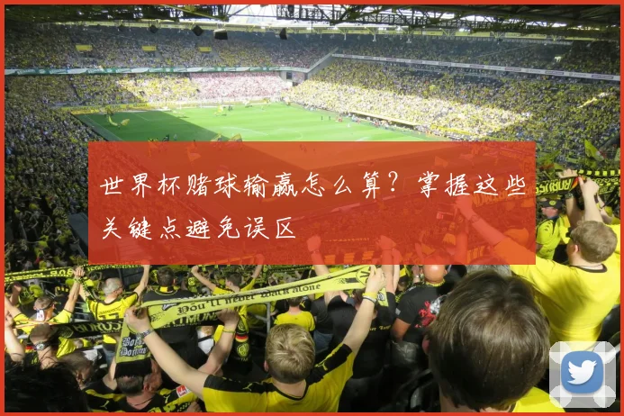 世界杯赌球输赢怎么算？掌握这些关键点避免误区