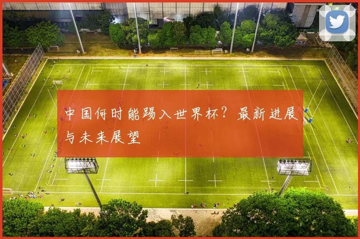 中国何时能踢入世界杯？最新进展与未来展望